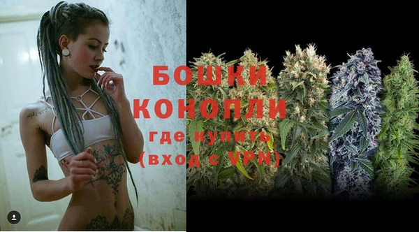 гидра Лиски