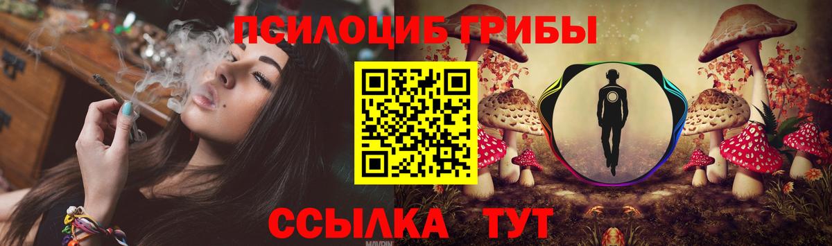 Псилоцибиновые грибы Cubensis  Псилоцибиновые грибы GOLDEN TEACHER  Усинск 