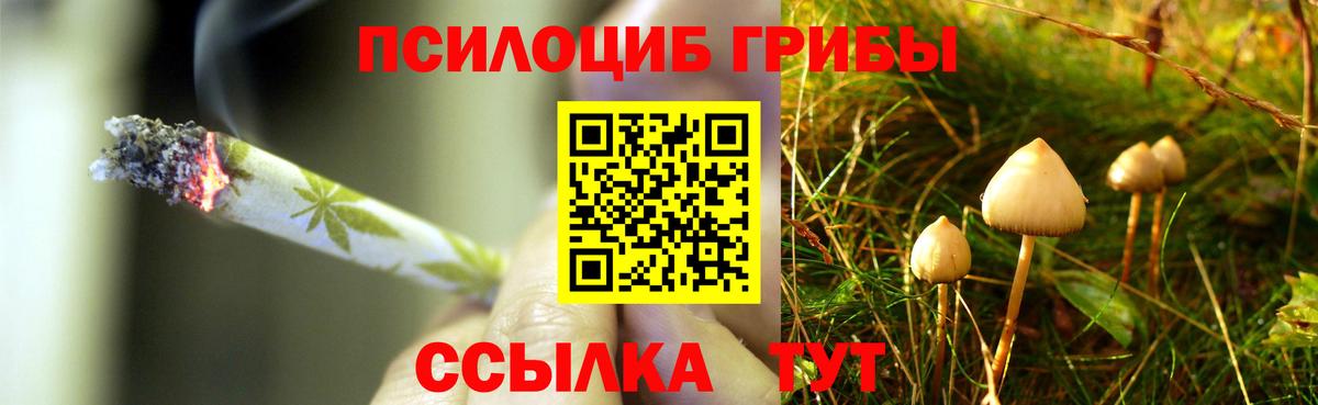 Псилоцибиновые грибы мицелий Усинск